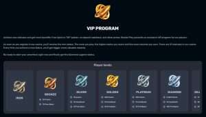 Rocket Play VIP program