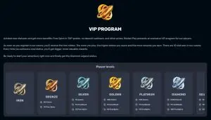 Rocket Play VIP program