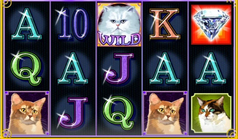 Kitty Glitter slot machine - Play Slot for Free