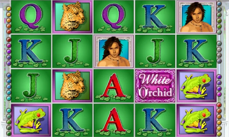 White Orchid slot machine - Play Slot for Free