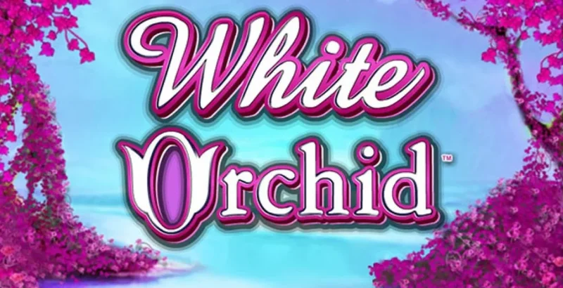White Orchid slot machine - Play Slot for Free 2